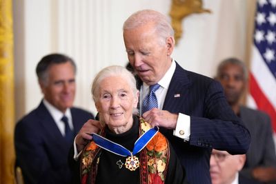 Trump’s aid cuts leave ‘critical’ Jane Goodall chimpanzee conservation project in crisis