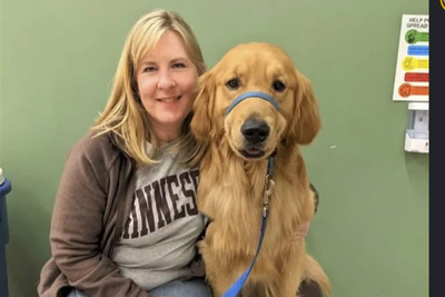 Heartbreaking Reason Melissa Hortman's Dog Gilbert Was Put Down by Her Children