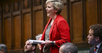 MPs put forward proposals to decriminalise abortion in England
