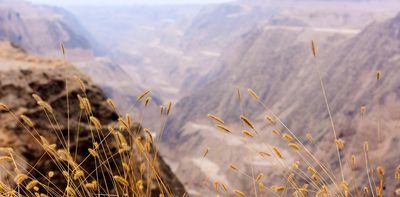 Declining soil health is a global concern – here’s how AI could help