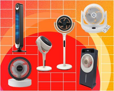 The best fans to keep you cool: 14 tried and tested favourites to beat the heat