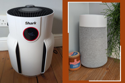 Best air purifiers to free your home from dust and allergens, expert tried and tested