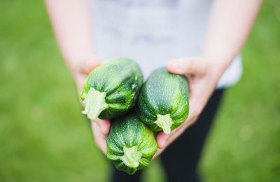 The 8 Easiest Vegetables to Grow (Even If You’ve Killed Every Plant Before)