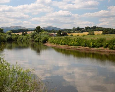 Poultry megafarm in Shropshire halted over river pollution concerns
