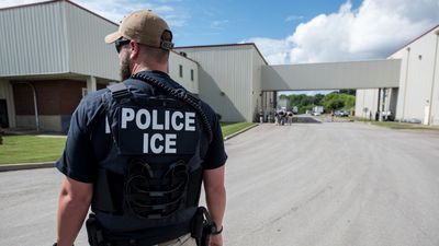 ‘No safe spaces’: Trump White House flip-flops on ICE farm raids after industry complains