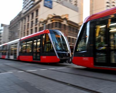 Sydney tram drivers fear more pedestrian deaths without urgent safety fixes