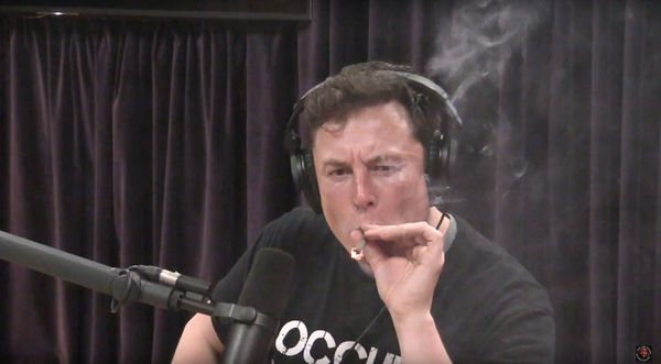 'I Am NOT Taking Drugs': Elon Musk Shares Drug Test Report Amid Ketamine Allegations