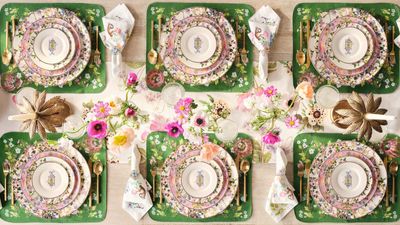 I'm obsessed with the new Pottery Barn x Cynthia Rowley drop, which is bringing catwalk maximalism to tablescaping this summer