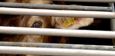 Coal power plants were paid to close. Is it time to do the same for slaughterhouses?