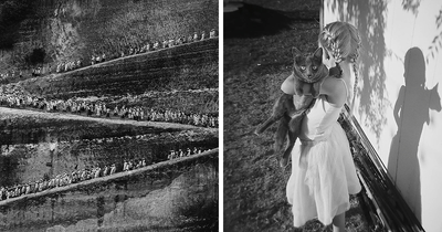24 Of The Most Beautiful Black And White Images Taken By Photographers From All Over The World