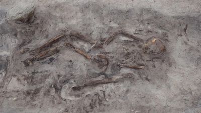 Viking Age woman was buried with her dog in an elaborate 'boat grave,' excavations reveal