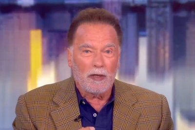 The View hosts spar with Arnold Schwarzenegger after actor says immigrants need to ‘behave like a guest’