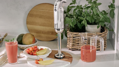 Dualit Hand Blender review – a cook's dream for easy summer dips and desserts