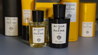 I test men's fragrances for a living – you'll never find me without these bottles