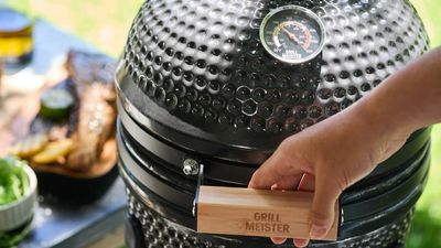 Lidl takes on Big Green Egg with its own ceramic barbecue dupe