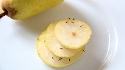 I finally banished fruit flies for good using this $7 gadget from Amazon