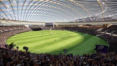 Ex-Liberal hits out at 'bankrupting' AFL stadium