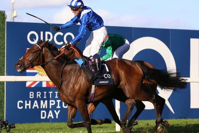 Wednesday’s Royal Ascot Tips & Day Two Best Bets