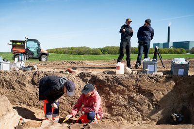 ‘Very rare’ Viking grave uncovered in Denmark by accident