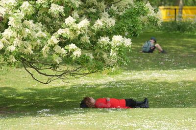 Hot weather is set to continue for another FOUR WEEKS, Met Office signals