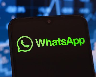 ‘It’s terrifying’: WhatsApp AI helper mistakenly shares user’s number