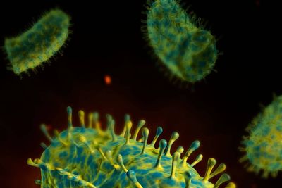 Person dies in UK after becoming infected with rabies while on holiday