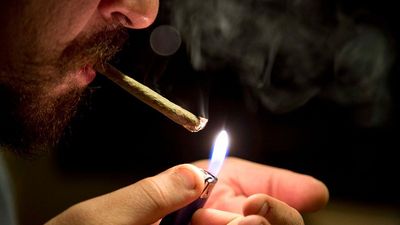 Cannabis use doubles the risk of dying from heart disease, researchers warn