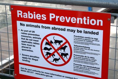 What is rabies and how is it spread?