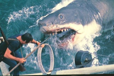 List of the top summer movies since 'Jaws' turned it into blockbuster season in 1975