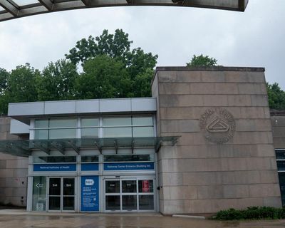 Trump officials cutting $1bn in NIH grants is ‘void and illegal’, judge rules