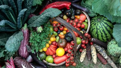 I can't believe I've only just discovered these 'secret' tips for storing tomatoes – and I'm rearranging my kitchen immediately