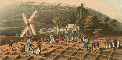 Tracing the Drax family’s millions – a story of British landed gentry, slavery and sugar plantations