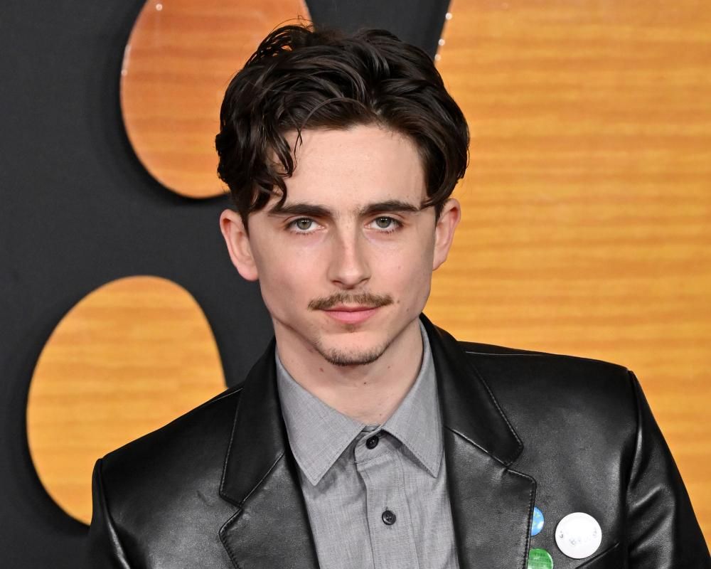 Few men can really rock a moustache. Timothée Chalamet…