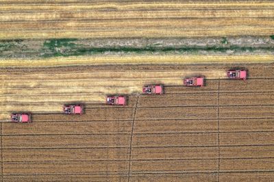 Climate Change Could Cut Crop Yields Up To A Quarter
