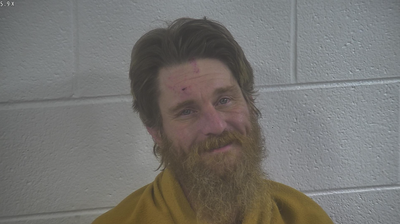 Kentucky Man Unleashes Wild Raccoon in Crowded Bar After Previously Arriving on 'Malnourished' Mule: Police