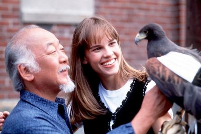 Cobra Kai creators were ‘disappointed’ Hilary Swank turned down reprise of Karate Kid character