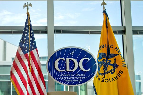 New CDC advisers will skip some expected topics and explore a target of antivaccine activists