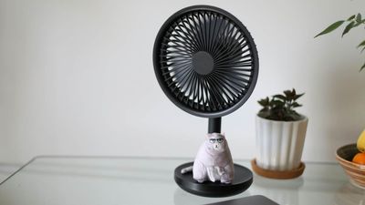I've been making this fan mistake for years – here's how to avoid it