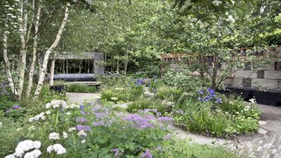 I'm a professional horticulturalist – these are the 7 ways I have reduced watering in the garden, even in a heatwave, saving me time and resources