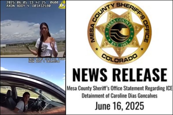 Colorado Officers Caught Illegally Using Group Chat With Federal Agents to Send Immigration Info to ICE: Sheriff
