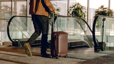 The Peak Design Roller Pro is ready for takeoff and only costs… HOW MUCH!?
