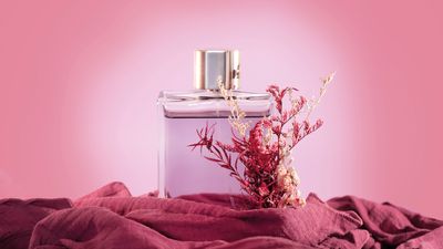 Shine the spotlight on your product photography with this gorgeous low-budget DIY lighting hack