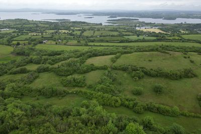 Living example of pre-war farmland safeguarded for nature