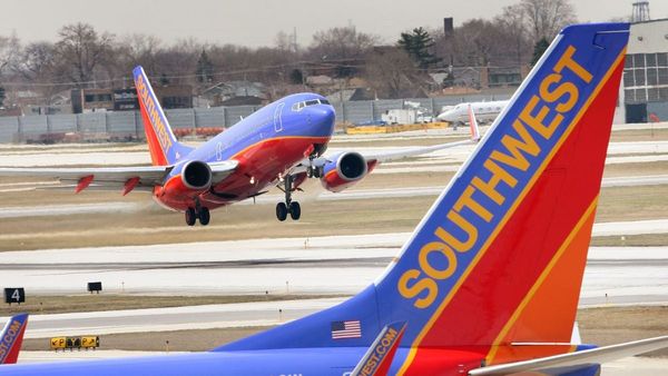 Southwest passenger provides in-flight entertainment as video shows hair-pulling, screaming, and total chaos