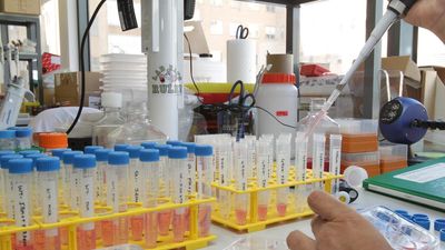 Scientists turn to AI to crack the green ammonia riddle