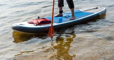 Paddleboarders and kayakers urged to act ‘responsibly’ around marine mammals