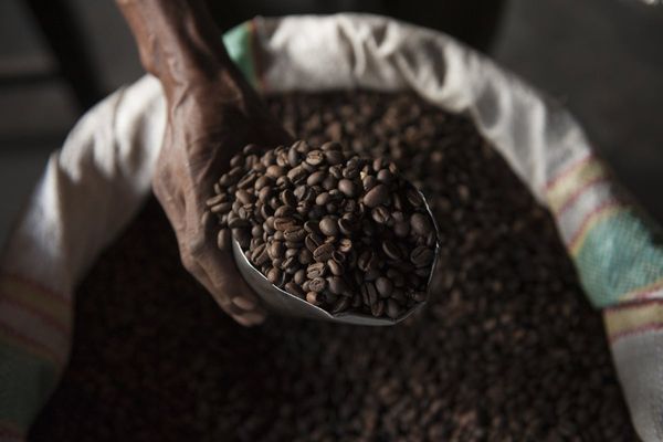 Woman, 32, dies of caffeine overdose after ‘unacceptable’ 7-hour wait for ambulance