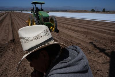 ICE raids and their uncertainty scare off workers and baffle businesses