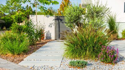 Designers warn of 9 minimalist garden mistakes never to make if you want to nail this summer's biggest backyard trend