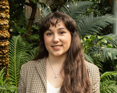 Carnegie medal for writing: Margaret McDonald named youngest ever winner